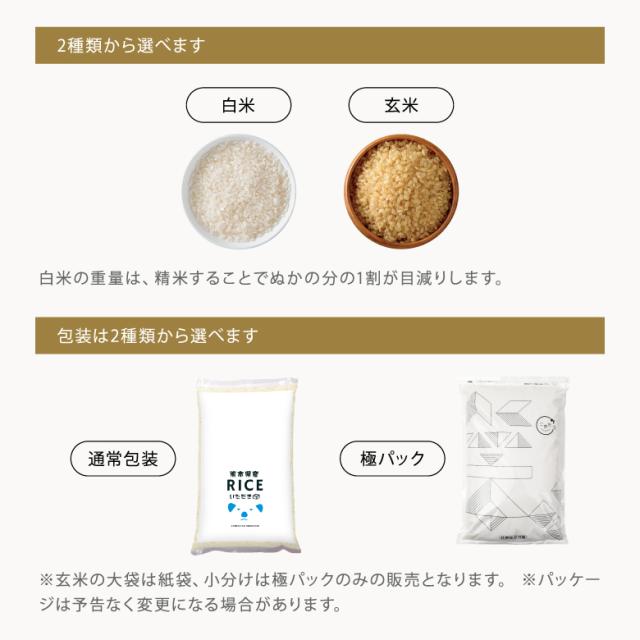 米 お米 20kg キヌヒカリ 熊本県産 令和7年産 玄米20kg 精米後18kg きぬひかり こめたつ_4