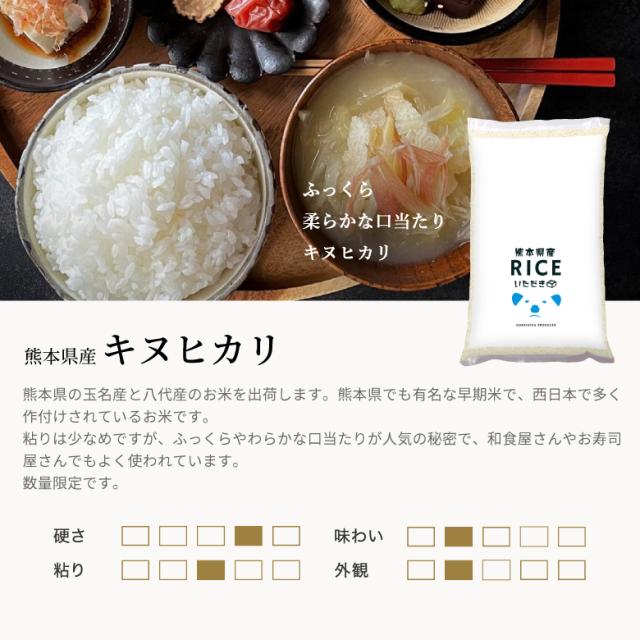 米 お米 20kg キヌヒカリ 熊本県産 令和7年産 玄米20kg 精米後18kg きぬひかり こめたつ_3