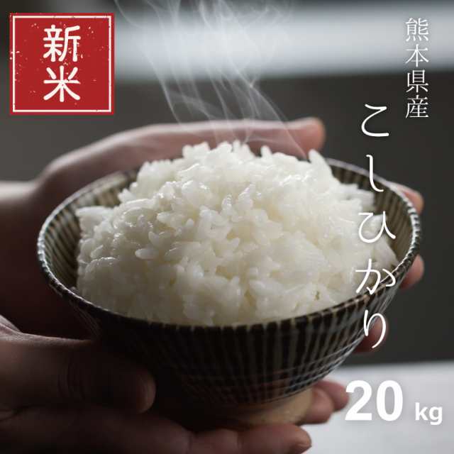 お米 20キロ コシヒカリ 精米 白米 - 米・雑穀・粉類