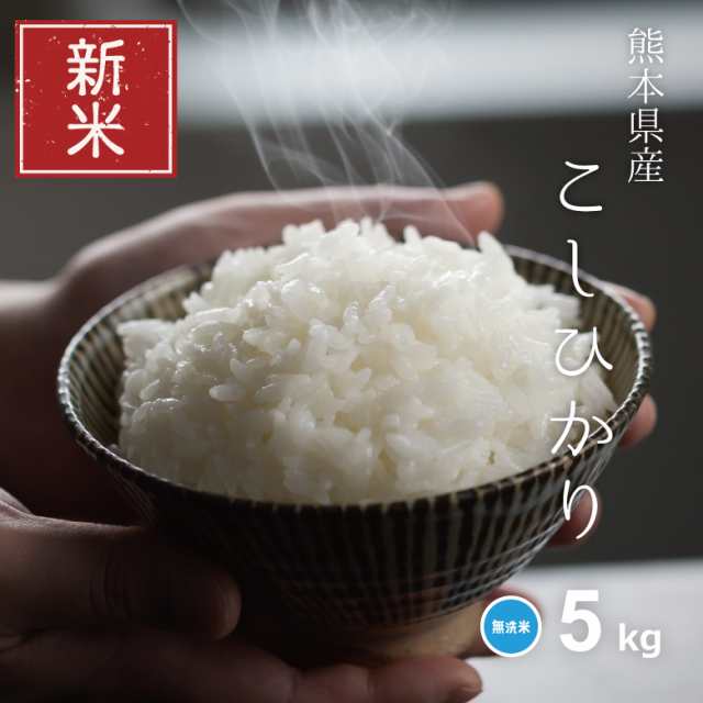 新米　au　令和5年産　こめたつ　米　精米5kg　コシヒカリ　お米　5kg　マーケット－通販サイト　無洗米　PAY　熊本県産　こしひかりの通販はau　マーケット　PAY