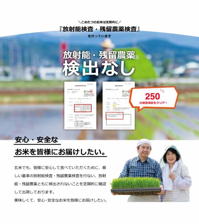 こめたつの通販はau　新米　米　PAY　精米5kg　お米　令和5年産　5kg　きぬひかり　キヌヒカリ　熊本県産　無洗米　マーケット　こめたつ　au　PAY　マーケット－通販サイト