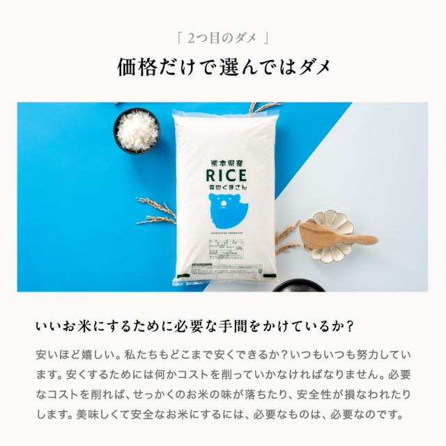 米 10kg お米 森のくまさん 熊本県産 令和7年産 白米5kg×2袋 こめたつ_7