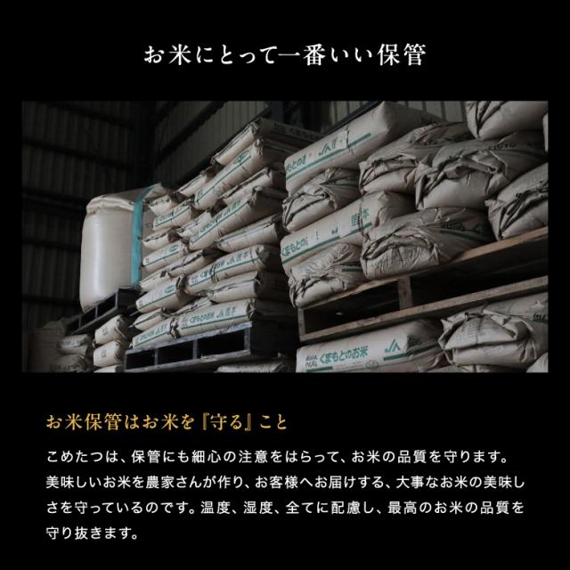 米 お米 10kg ちょっぴりセレブなヒノヒカリ 国内産 令和7年産 5kg×2袋 ひのひかり こめたつ