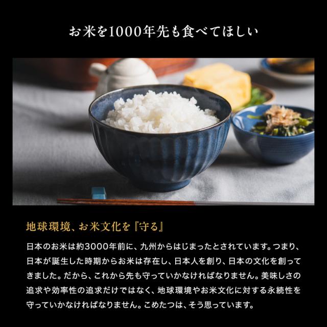 米 お米 20kg キヌヒカリ 熊本県産 令和7年産 玄米20kg 精米後18kg きぬひかり こめたつ_17