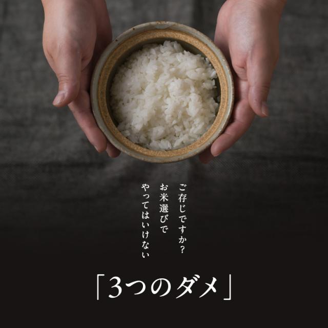米 お米 10kg ちょっぴりセレブなヒノヒカリ 国内産 令和7年産 5kg×2袋 ひのひかり こめたつ