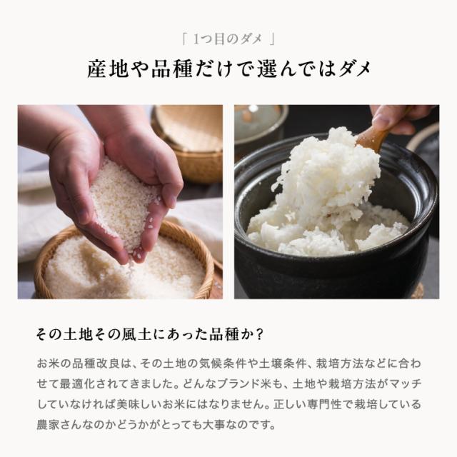 米 お米 10kg ちょっぴりセレブなヒノヒカリ 国内産 令和7年産 5kg×2袋 ひのひかり こめたつ