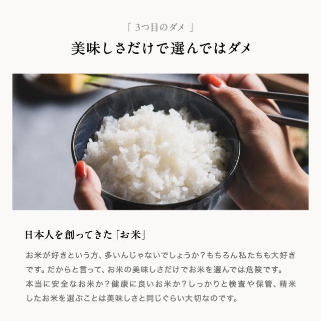 米 お米 10kg ちょっぴりセレブなヒノヒカリ 国内産 令和7年産 5kg×2袋 ひのひかり こめたつ