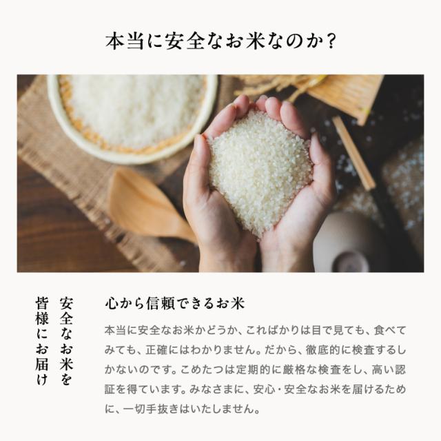 米 お米 10kg ちょっぴりセレブなヒノヒカリ 国内産 令和7年産 5kg×2袋 ひのひかり こめたつ