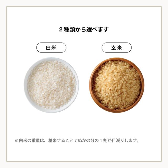 【暮らし応援価格！】米 お米 30kg ちょっぴりセレブなミルキークイーン 国内産 令和7年産 玄米30kg 精米後27kg こめたつ_4