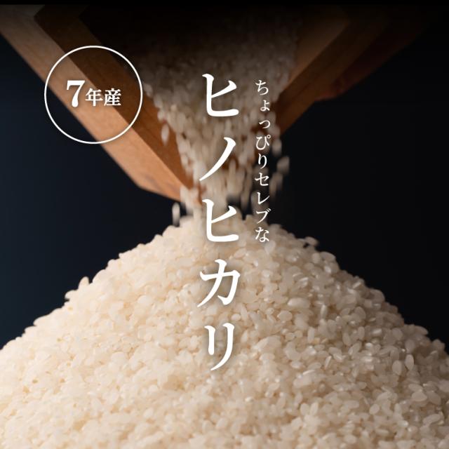 米 お米 10kg ちょっぴりセレブなヒノヒカリ 国内産 令和7年産 5kg×2袋 ひのひかり こめたつ
