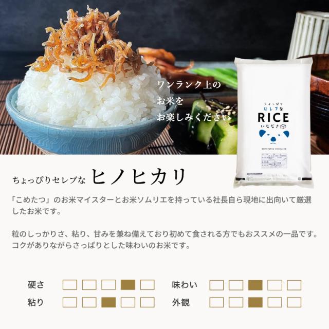 米 お米 10kg ちょっぴりセレブなヒノヒカリ 国内産 令和7年産 5kg×2袋 ひのひかり こめたつ
