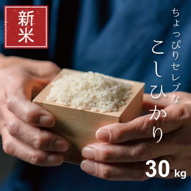 新米 米 お米 熊本県産 令和4年産 玄米30kg 精米27kg きぬひかり 30kg キヌヒカリ 