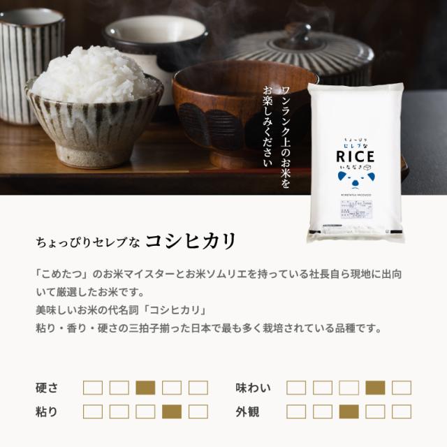 米 お米 27kg ちょっぴりセレブなコシヒカリ 無洗米 国内産 令和