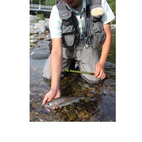 ジョインター テンカラフライ33M【 Jointer TENKARA FLY 33M 】 の通販