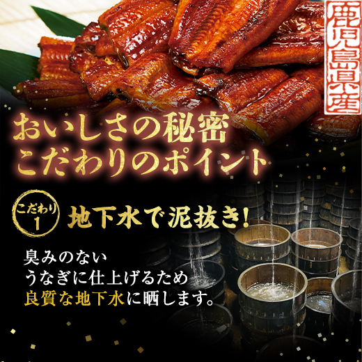 うなぎ 蒲焼き 国産 お中元 御中元 うなぎ蒲焼き 鹿児島県産 お徳用 カット うなぎ 15パック 100ｇ×15パック 2026 【送料無料】_3