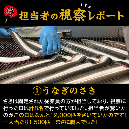 うなぎ 蒲焼き 国産 お中元 御中元 うなぎ蒲焼き 鹿児島県産 お徳用 カット うなぎ 15パック 100ｇ×15パック 2026 【送料無料】_5
