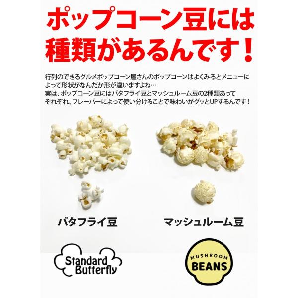 ポップコーン豆 22.68kg バタフライ or マッシュルーム KING　業務用　送料無料