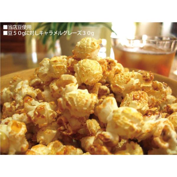 キャラメルフレーバー　22.7kg　GOLD MEDAL　ポップコーン