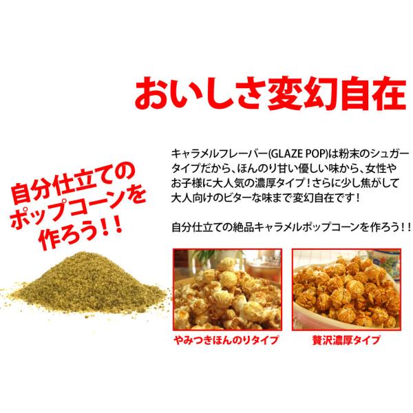 キャラメルフレーバー　22.7kg　GOLD MEDAL　ポップコーン