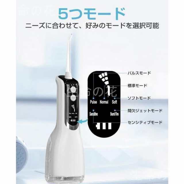 口腔洗浄機 口腔洗浄器 ジェットウォッシャー 200ml 口内洗浄機 USB