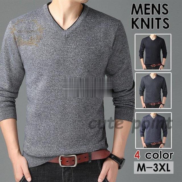 ニットセーター メンズ セーター Vネック 長袖 トップス 無地 秋 冬 メンズ ニット 新作 シンプル カジュアル キレイめ 暖かい トップスの通販は