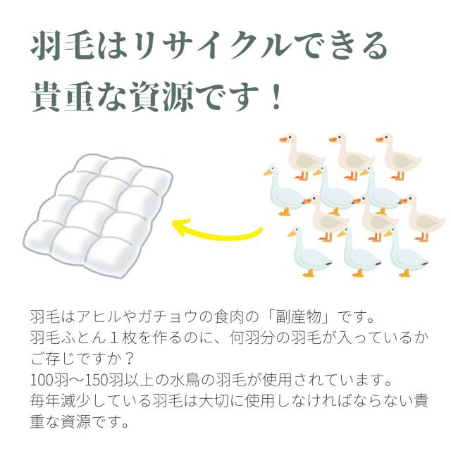sohno（ソーノ）Candidコース ダブル 羽毛リフォーム ダブルサイズ 羽毛ふとん ホワイトグース_3
