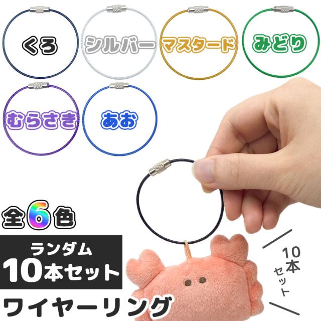 ワイヤーリング キーホルダー 色ランダム10本セット キーリング