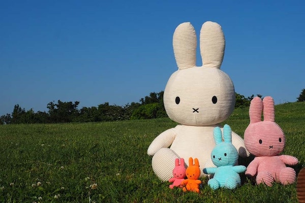50cm 】【Miffy Corduroy 50cm】ミッフィー コーデュロイ