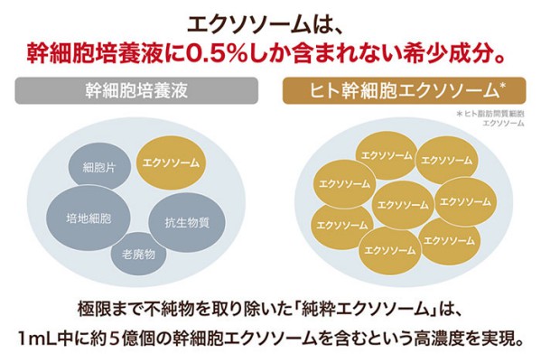 まつ毛美容液【 Lejeu 】ルジュ アイラッシュセラム 6ml まつ毛美容液 ヒト幹細胞エクソソーム ヒト幹細胞培養液 睫毛 マツ毛 まつ毛ケア まぶたケア プラセンタ ハリ コシ パ【B倉庫】_1