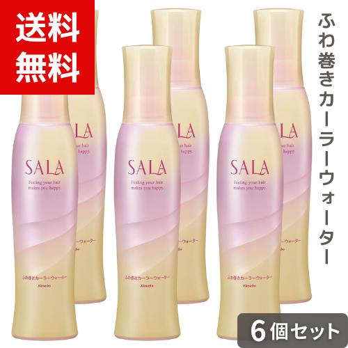 サラ ふわ巻きカーラーウォーター 160ミリリットル  ×6個セット 4973167205112 *の通販は