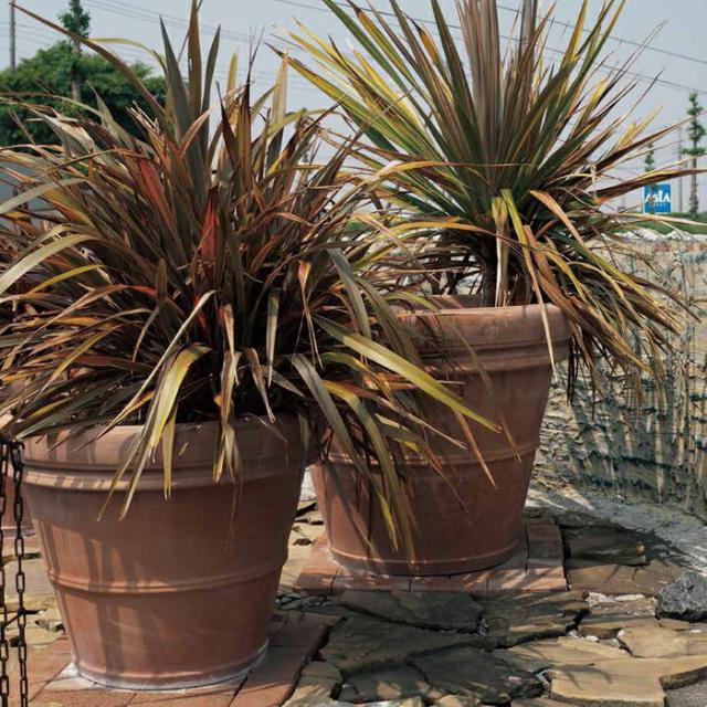 植木鉢 おしゃれ ベノッチ リムポット 65cm 【メーカー直送・同梱不可・代引不可・返品不可】【グリーンポット社】【gp-be-100f】の通販は