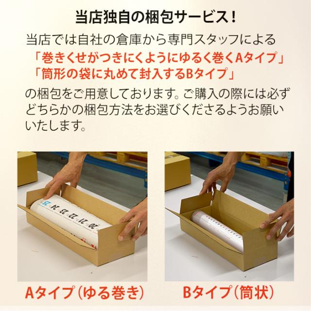 カレンダー 2026年 壁掛け ヨーロッパの旅 SG209 カレンダー 2026 壁掛け おしゃれ 風景 ヨーロッパ 観光名所 便利 景観 自然 風景 写真 四季 季節 スケジュール 46/4切 257993 風景