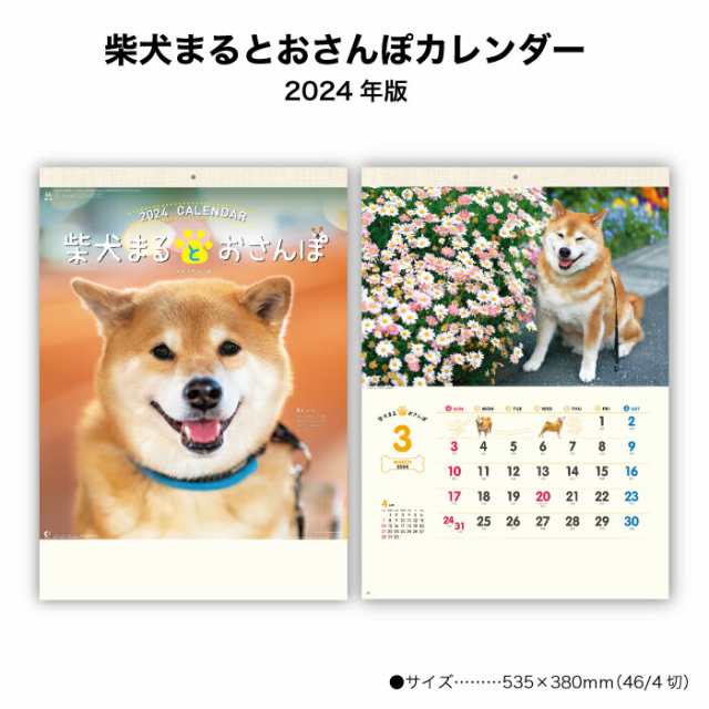 カレンダー 2024年 壁掛け 柴犬まるとおさんぽカレンダー NK35 2024年版 カレンダー シンプル かわいい カラフル スケジュー