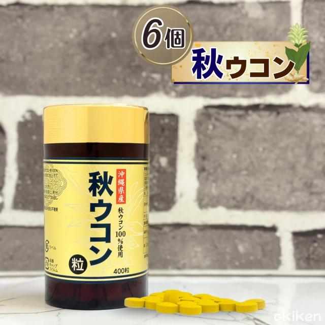 秋ウコン粒 400粒×6個セット 約半年分 沖縄県産 秋うこん 100% サプリメント ターメリック クルクミン 含有 粒タイプ サプリ うっちん 健康 食品 美容 習慣 飲みやすい 植物由来原料 配合 健康維持 送料無料 沖縄ウコン販売