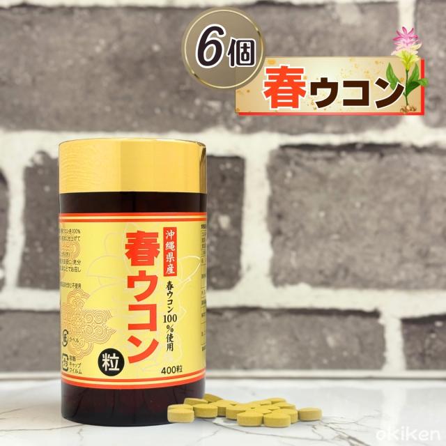 春ウコン粒 400粒×6個セット 沖縄県産 春うこん 100% サプリメント 精油成分 ミネラル 含有 粒タイプ サプリ 健康 食品 美容 習慣 飲みやすい 植物由来原料 配合 健康維持 送料無料 沖縄ウコン販売