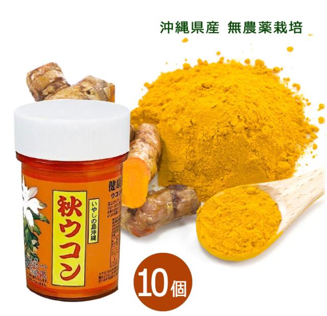 秋ウコン粉 100g×10個セット 容器入り沖縄県産ウコン クルクミン ターメリック サプリ 粉末タイプ 送料無料 比嘉製茶