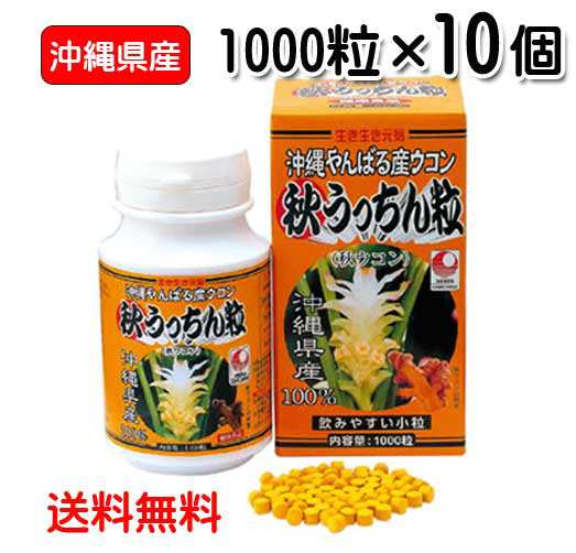 秋ウコン粒 沖縄県産 秋うっちん粒 1000粒入り×10個 送料無料 ウコン うっちん沖縄