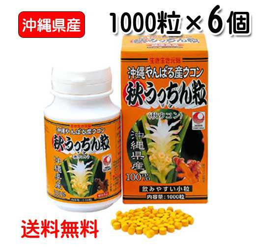 秋ウコン粒 沖縄県産 秋うっちん粒 1000粒入り×6個 送料無料 ウコン うっちん沖縄