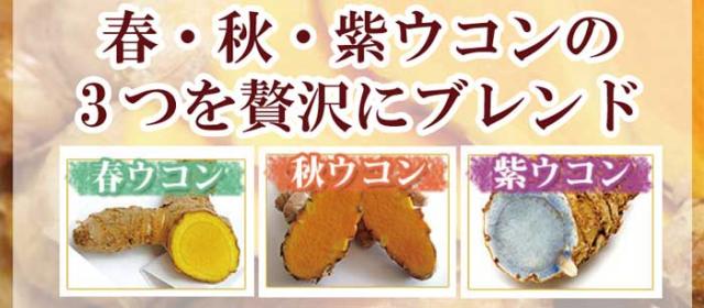 やんばる 毎日がウコン粒 500粒×6袋セット 送料無料 秋ウコン 春ウコン 紫ウコン 3種類のウコン ウコンサプリメント 粒タイプ サプリ 沖縄県北部産_2