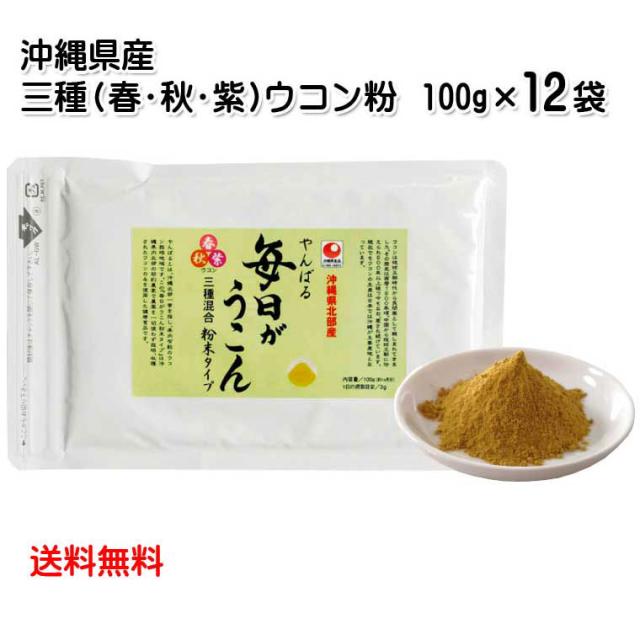 やんばる 毎日がウコン粉 100g×12袋セット 送料無料 秋ウコン 春ウコン 紫ウコン 3種類のウコン ウコンサプリメント 粉末 サプリ パウダータイプ 沖縄県北部産