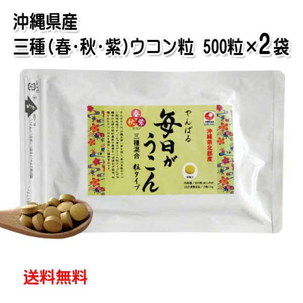 やんばる 毎日がうこん 粒 500粒×2袋セット 沖縄県 北部産 山原 秋ウコン 春ウコン 紫ウコン 3種ウコン クルクミン ミネラル ウコン 送料無料