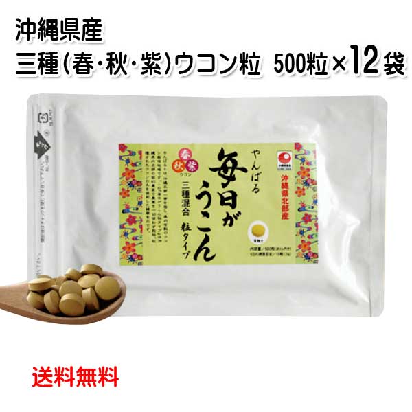 やんばる 毎日がウコン粒 500粒×12袋セット 送料無料 秋ウコン 春ウコン 紫ウコン 3種類のウコン ウコンサプリメント 粒タイプ サプリ 沖縄県北部産