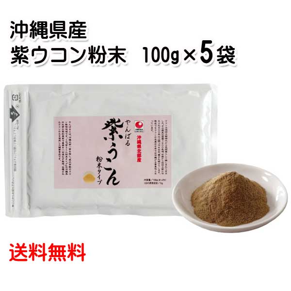 やんばる 紫うこん 粉末 100g×5袋セット 沖縄県 北部産 山原 栽培期間中無農薬 ミネラル 紫ウコン 粉タイプ パウダー 送料無料