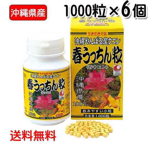 春ウコン粒 沖縄県産 春うっちん粒 1000粒入り×6個 送料無料 ウコン うっちん沖縄 錠剤