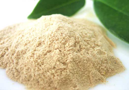 紫ウコン粉 100g×10袋セット 送料無料 比嘉製茶 紫ウコン粉 100g×10袋セット 送料無料 比嘉製茶