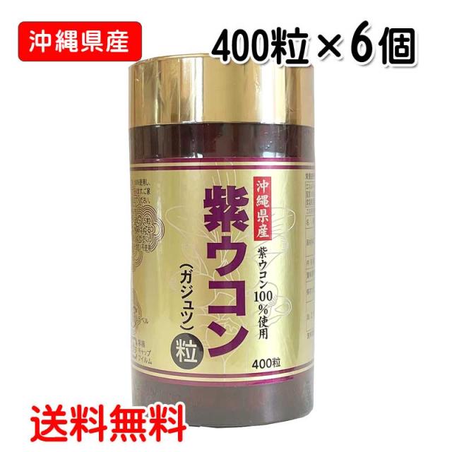 紫ウコン粒 400粒×6個セット 沖縄県産 ガジュツ 100% 精油成分 豊富 シネオール カンファー 含有 粒タイプ サプリメント うっちん 紫うっちん ダイエットサポート 美容 健康 食品 飲みやすい まとめ買い 送料無料 沖縄ウコン販売