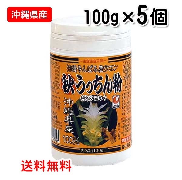 秋ウコン粉 沖縄県産 秋うっちん粉 100g容器入り×5個 送料無料 ウコン うっちん沖縄の通販は
