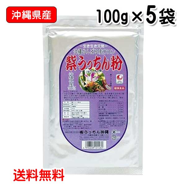 ウコン サプリ 粉末 紫うっちん粉 100g×5袋セット 詰替えアルミ袋 沖縄県産 紫ウコン ガジュツ うっちん 送料無料 うっちん沖縄