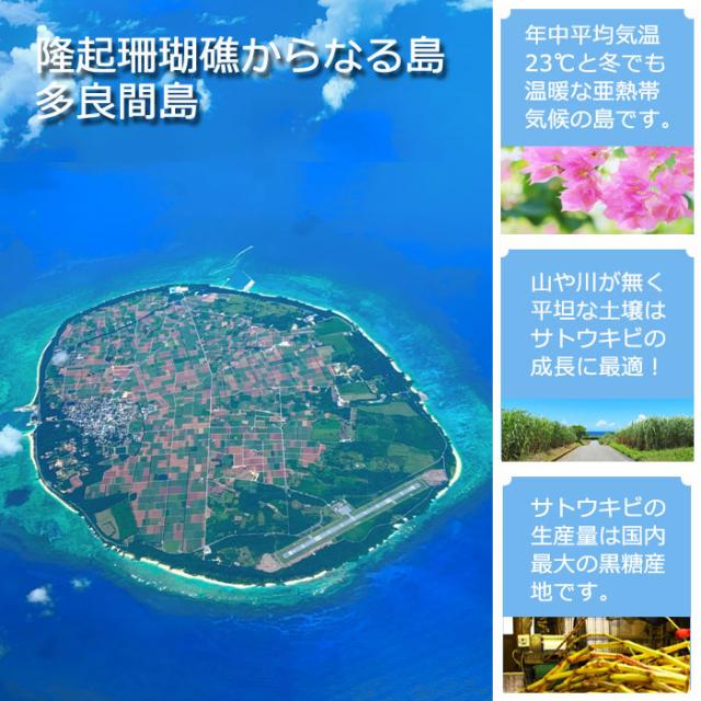 多良間島産黒糖 200g×20箱セット デイゴ印箱入り 送料無料 多良間島