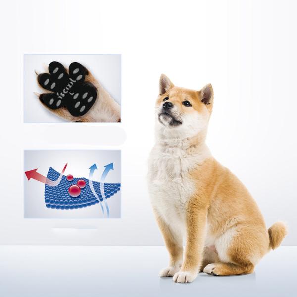 犬 靴下 セット　一枚48円 滑り止め 肉球シール 400枚 犬の靴 フットパッド 犬用　商品動画あり 一年間分 散歩用 足裏シール 犬靴 ドッグシューズ 脱げない 保護の通販は